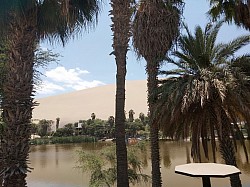 Huacachina oasis